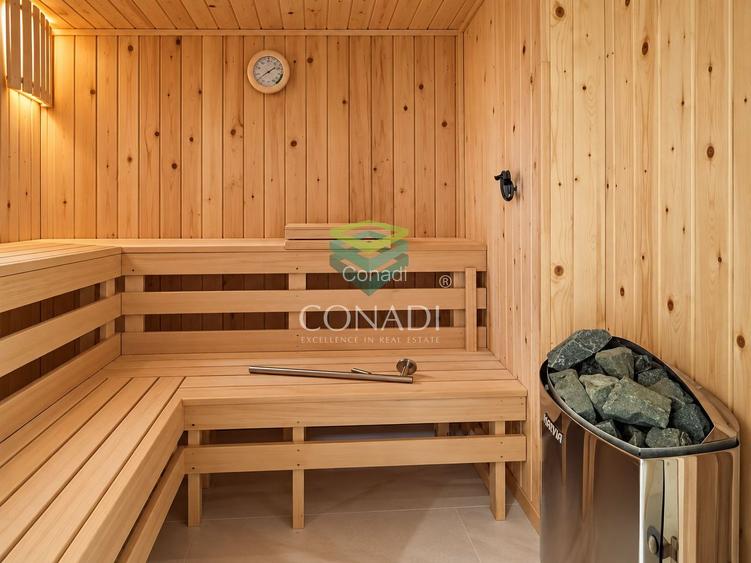 Luxury Garden | Domenii | Private Spa | 230 sqm Garden | 3 Parking - 13