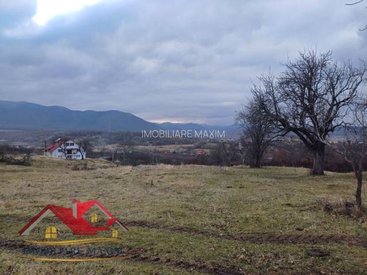 Teren Intravilan 3000 mp – Cisnădie - 6