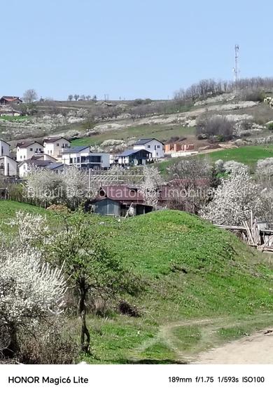 Teren 20 000 mp Aroneanu-Sorogari, Iasi deschidere 65 m - 8