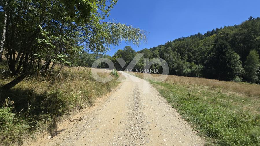 36.200 mp teren | Poiana Mărului | Platou | Apă și curent | 1 km de Sergiana - 6