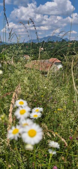 Teren intravilan Sohodol, priveliste catre Bucegi, Piatra Craiului,Magura Codlei