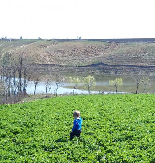 Belciugatele - Mariuta, teren cu iesire la lac - 2