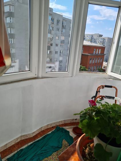Banu Manta, stradal