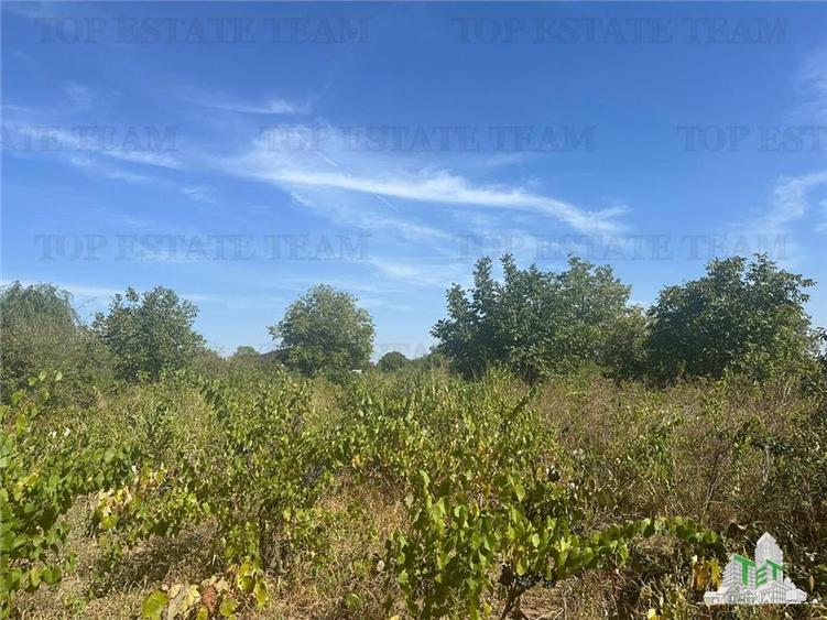 Vanzare teren intravilan construibil in Branesti, Ilfov - 2040 mp, ideal reziden