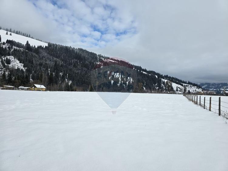 Vanzare Teren 13.650 mp , Suceava / com.Dorna Arini
