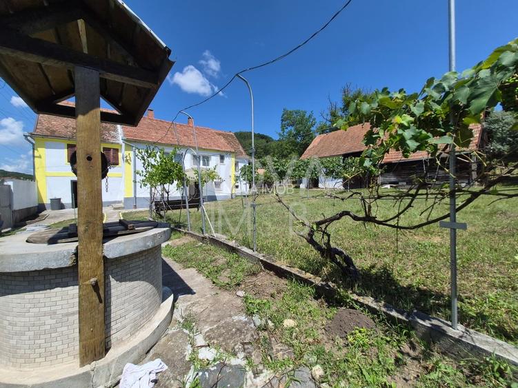 Casa individuala cu teren generos – 8.356 mp – Tichindeal, jud. Sibiu - 25