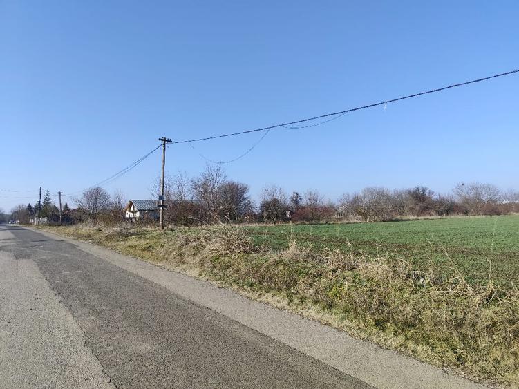 Gradistea/Zona padure