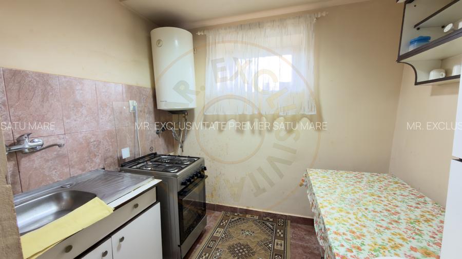 Casă 4 camere, Teren 1005 mp Loc. Căpleni Nr.789 -Jud. Satu Mare - 9