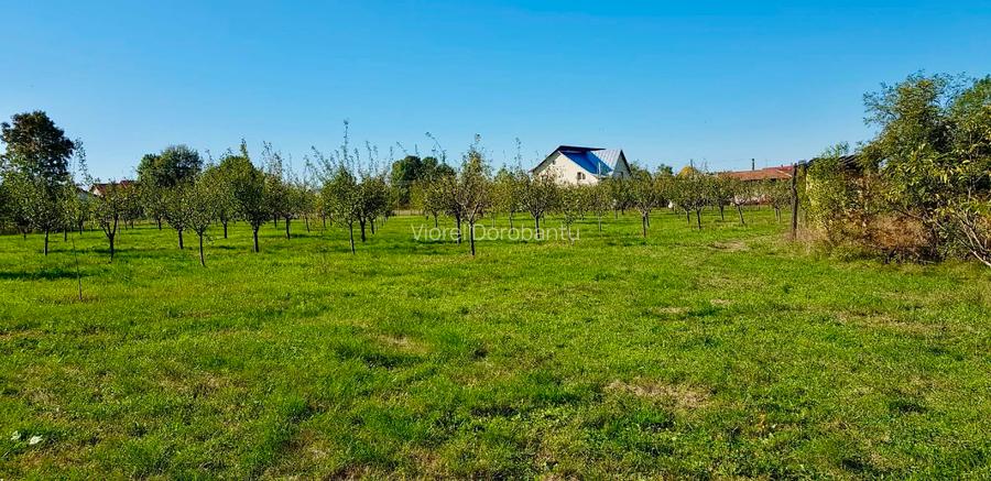 Casa si teren de vanzare (6000 mp) - 8