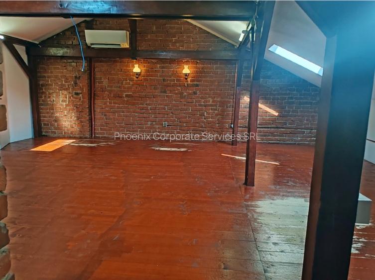 Vila cu prestigiu, D+P+E+M,  pozitie exceptionala langa Palatul  Cotroceni - 12