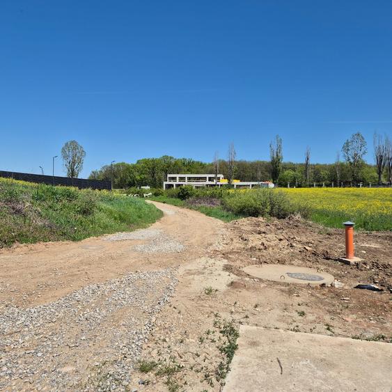 Ciolpani, spre Izvorani - COR, vanzare teren 5000mp.