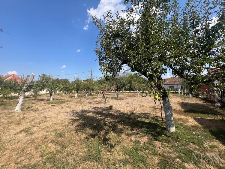 Teren intravilan de vanzare | Tileagd | jud. Bihor