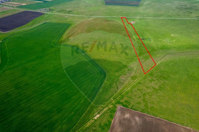 5 hectare teren agricol- pășune, cu front la șosea, zona Sântana