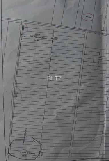 Teren intravilan, 1200 mp – Cârcea, zona Veropan (Depozitul legume-fructe) - 2