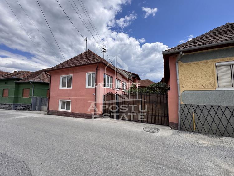 Pensiune cu 8 camere, cu iesire la rau, Salasu de Jos, Hunedoara - 21