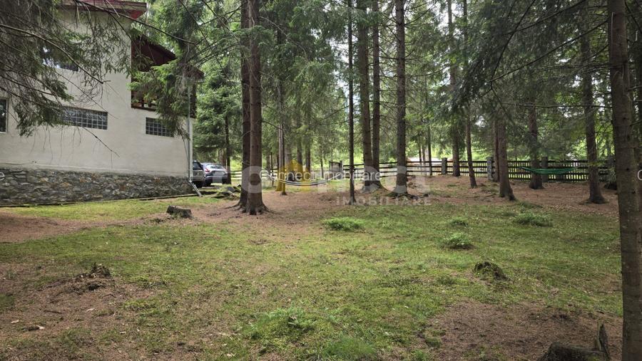 De vânzare casă de vacanță deosebită | Călățele Pădure – Dealul Negru, Cluj - 14
