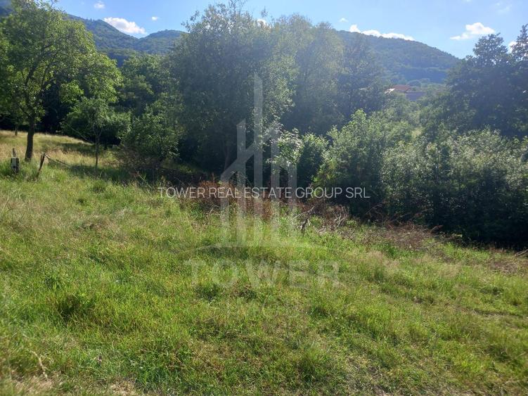 Teren în Fântânele – 3.673 mp, pârâu si cadru natural  deosebit - 2