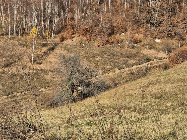 Teren de vânzare în sat Măgura/ Brasov– loc pentru familie, liniște și suflet