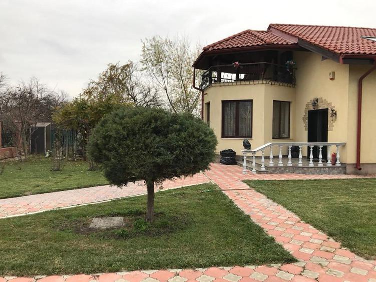 Snagov/Ciofliceni, arta, lemnul și lumina – o vilă care spune o poveste