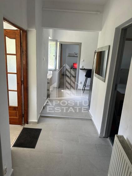 Doua apartamente la curte comuna , zona Iosefin