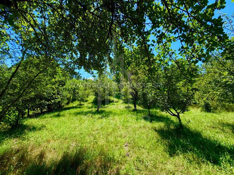 Casă de vânzare-teren 2.300 mp| Ocna Sibiului - 24