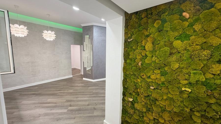 Casă 3 camere, Pache Protopopescu