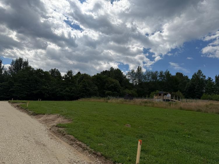 Teren intravilan 1000 mp zona Bran-Tohanita,langa padurela 10 km de Rasnov