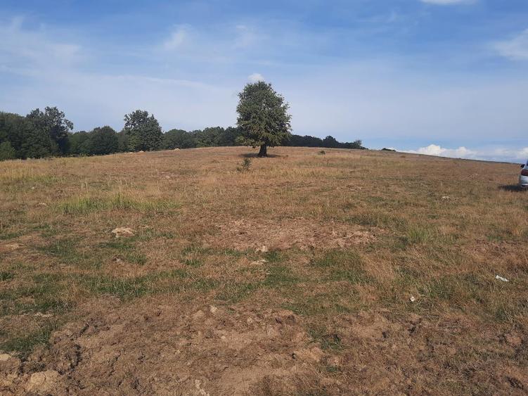 FARA COMISIOANE TEREN parcelabil 10756mp linga padure Comuna Dumbravita Brasov