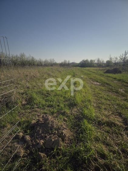 De vanzare teren la munte , in Rucar , zona Iezer Papusa, Arges,