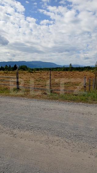 Vânzare teren intravilan, 3850 mp, Panaci