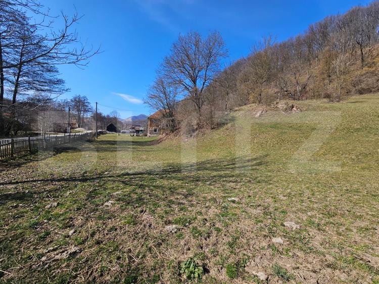 Casă cu teren generos 6.820 mp, lângă pădure și râu – Almașu Mare
