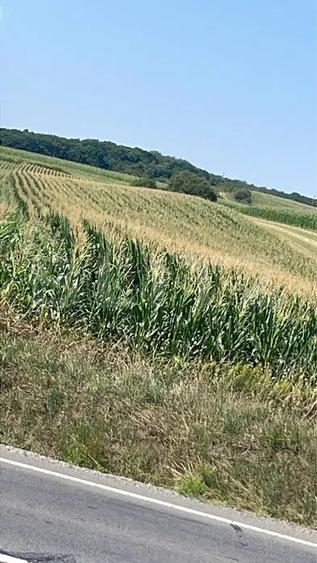 Teren in Acatari la E60 - 1,73 hectare
