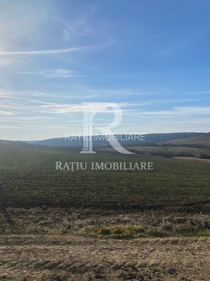 Teren extravilan de vanzare 3.900mp | Mierlau | Bihor - 2