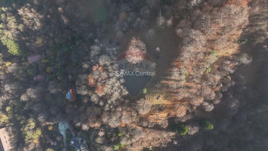 Teren Colinar Panoramic – 17.684 mp în Scheii Brașovului - 4