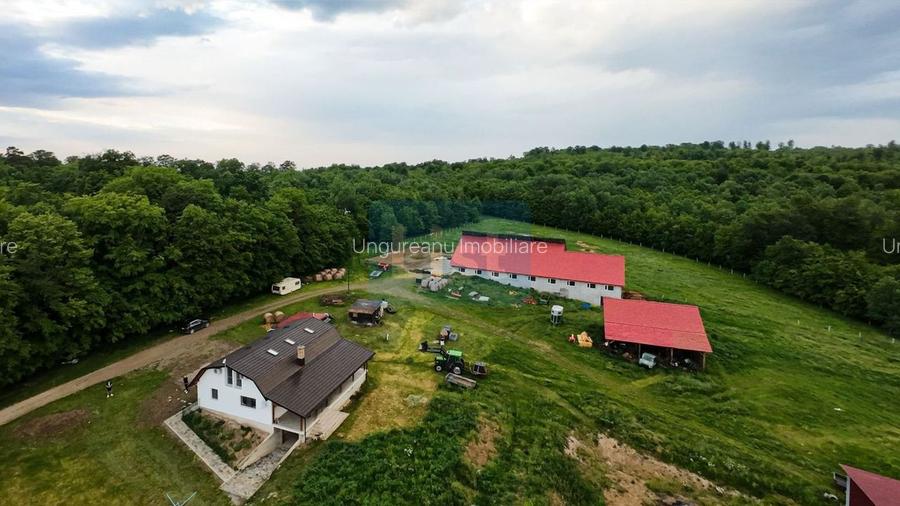 Fermă premium, casa, grajd+anexe Grănicești, 12,98Ha Iacobești Suceava - 20