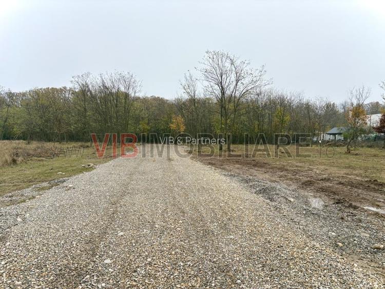 Teren intravilan de vanzare in Snagov – Ciofliceni - 6