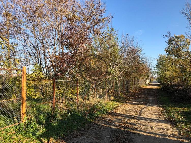Teren intravilan de vanzare | 12.650 mp | Ghirdoveni | Comision 0%