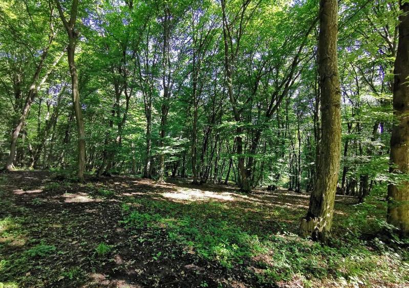 OPORTUNITATE UNICA, Teren inravilan strada Uliului 17234 mp