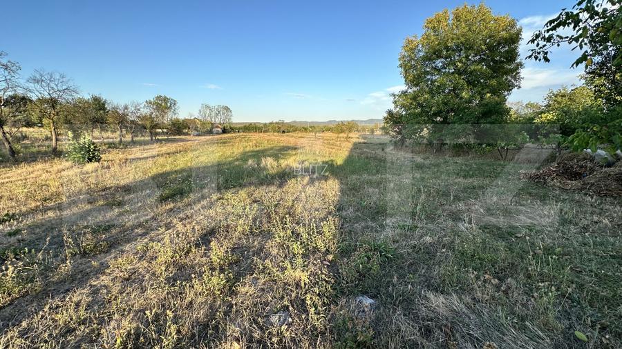 Casa 163 mp, teren 3.446 mp, zona Beriu - 14