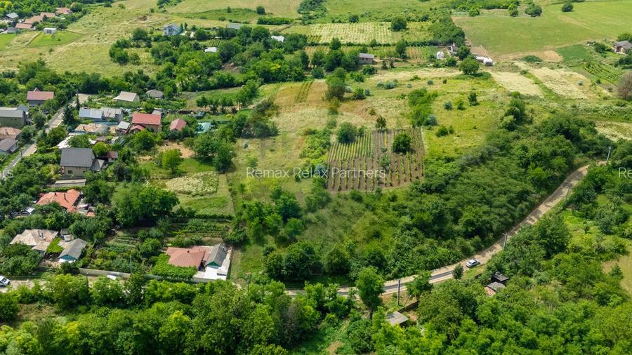 0% COMIOSION-  Teren Intravilan 8.841mp Uricani – Langa Centura - 15