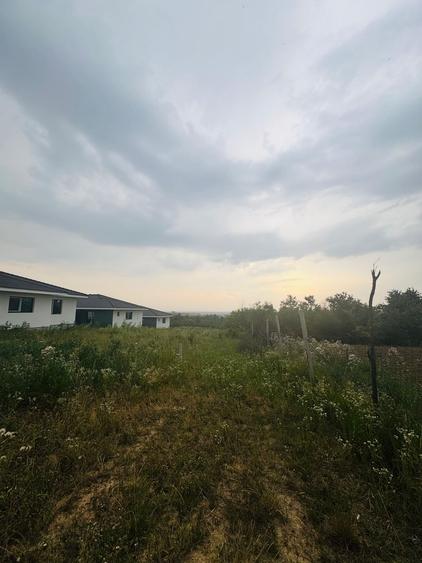 Teren intravilan de vânzare Paleu, zona Piersicilor langa padure