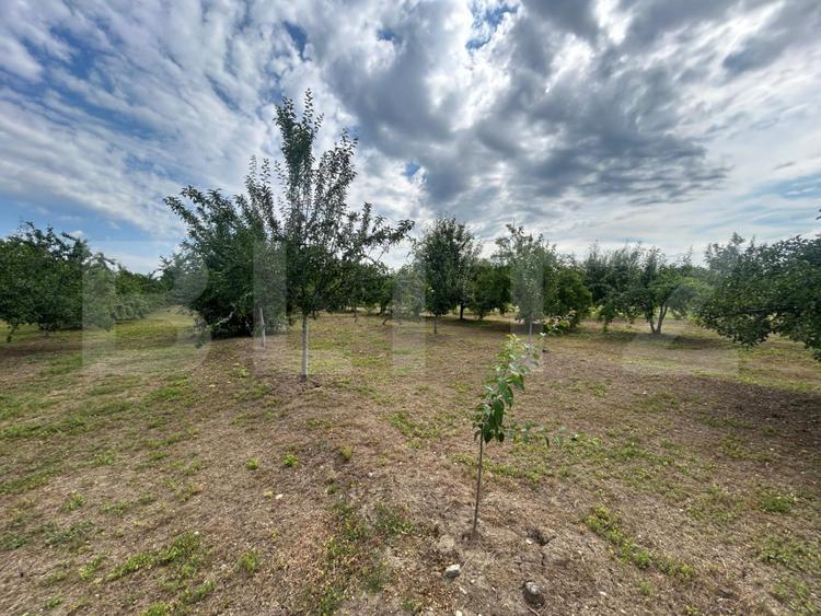 Teren intravilan, 6796 mp, zona Crangurile de Jos