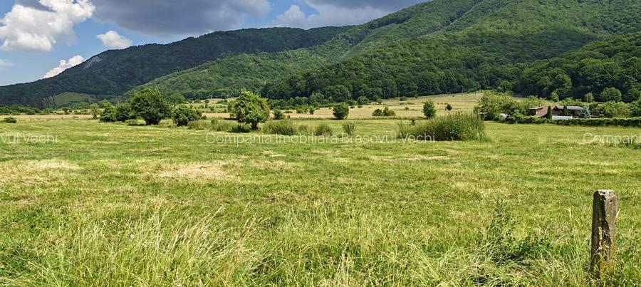 Teren intravilan - padure de agrement - in Brasov. - 5