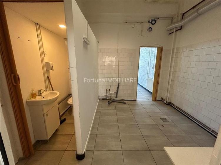 Spatiu comercial cu vad strada Harmanului, Craiter - 11