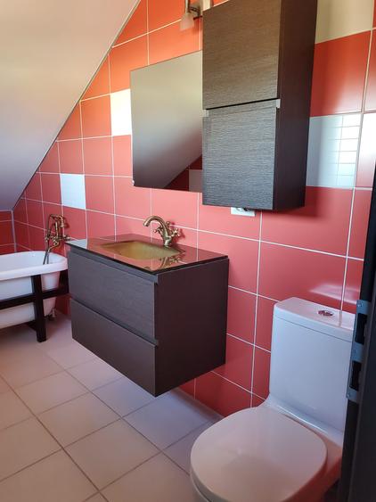 Casă modernă P+E+M de vânzare în Peciu Nou | 180 mp utili | Teren 500 mp | 3 dor