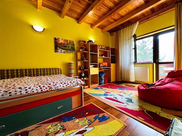 Vila Exclusivista Piatra Arsa Busteni
