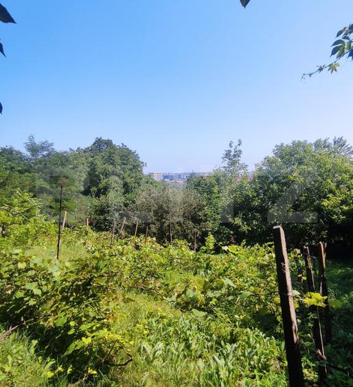 Teren 2.889 mp, PUZ P+2, toate utilitățile, Șoseaua Tudor Neculai