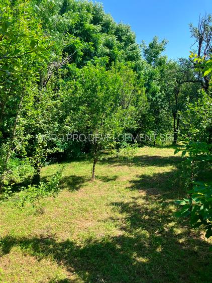 Casa  cu parau la limita proprietatii- zona submontana - 7