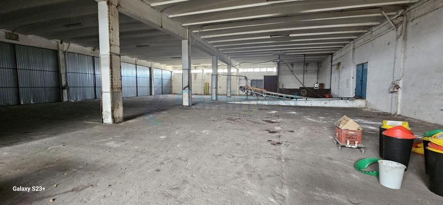 Teren pentru dezvoltare comerciala in Oradea 57000 mp, zona mixta intravilan