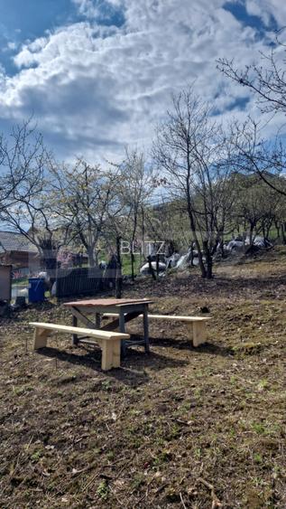 Teren intravilan Viisoara cu panorama asupra orasului. 3000 euro/ar. - 4